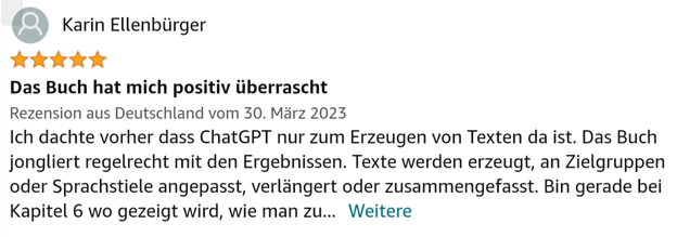 Rezension 12